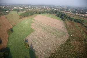 Widok z góry na pola rolne otoczone drzewami
